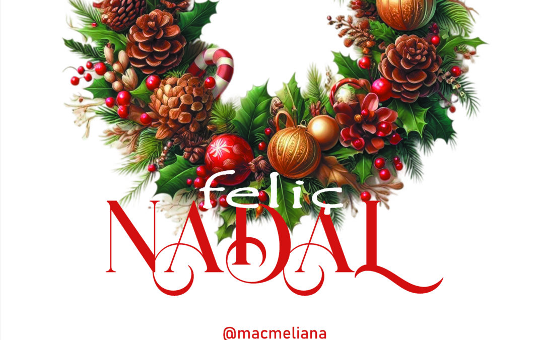 CAMPANYA NADAL A LA MAC 25